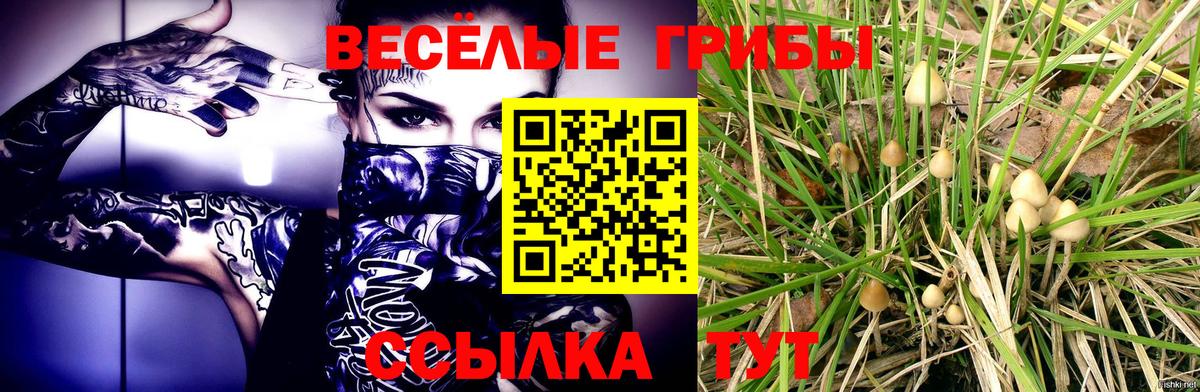 Псилоцибиновые грибы ЛСД  Вход с VPN  Лесосибирск 